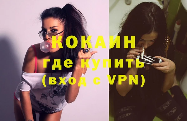 твердый Новодвинск