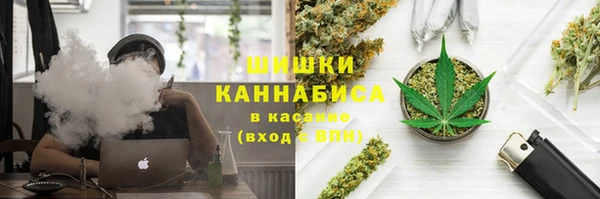 МДПВ Новозыбков