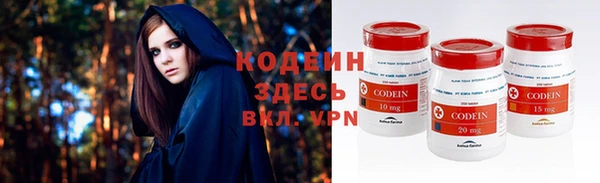 МДПВ Новозыбков