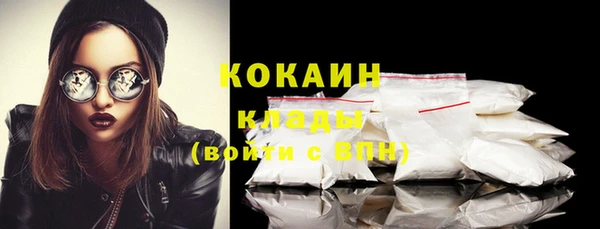 твердый Новодвинск