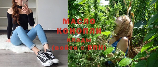твердый Новодвинск