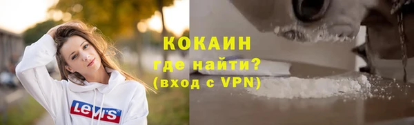 твердый Новодвинск