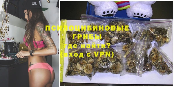 МДПВ Новозыбков