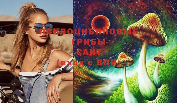 твердый Новодвинск