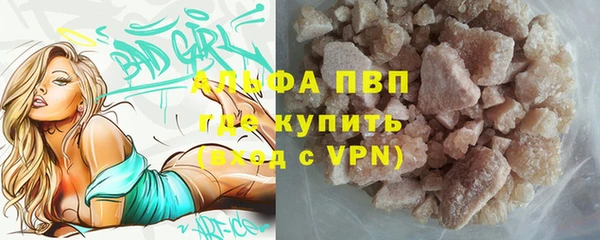 твердый Новодвинск