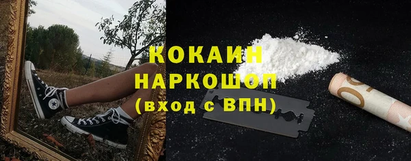 МДПВ Новозыбков