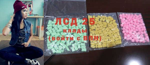твердый Новодвинск