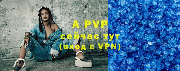 твердый Новодвинск