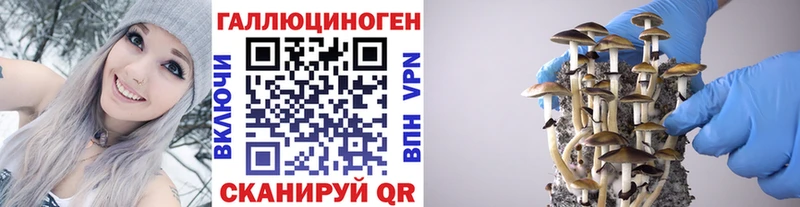 Галлюциногенные грибы Magic Shrooms  блэк спрут как зайти  дарк нет как зайти  купить   Котово 